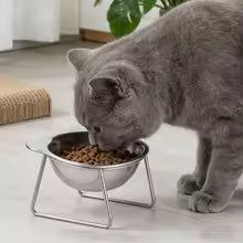 Cat Bowl Stainless Steel Cat Food Bowls with Metal Stand Food and Water Dish for Cats Kitten Puppies Feeders Cat Supplies