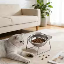 Cat Bowl Stainless Steel Cat Food Bowls with Metal Stand Food and Water Dish for Cats Kitten Puppies Feeders Cat Supplies