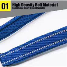 Pet Leash Reflective Nylon Mesh Padded Puppy Large Dog or Cat Walking Training 11 Color 200cm TLL2112